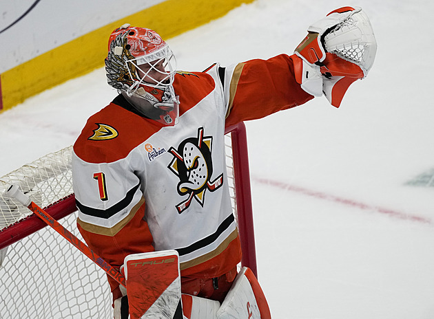 Dostála těší nálada v Anaheimu. Táhneme za jeden provaz, říká. Budaje si pochvaluje