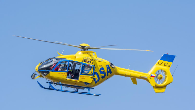 Pes na Karlovarsku vážně pokousal malé dítě v obličeji. Na místo musel vrtulník