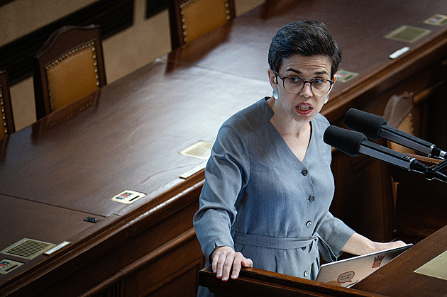Loajální loutky, banánová republika. Opozice brzdí zákon o státních zaměstnancích