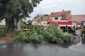 Na jihu Moravy byly po bouřkách tisíce domácností bez proudu